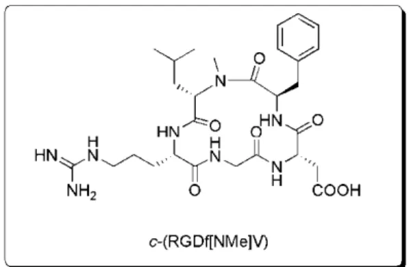 Figura 5.  Peptídeo cíclico antagonista  da integrina α v β 3 . 