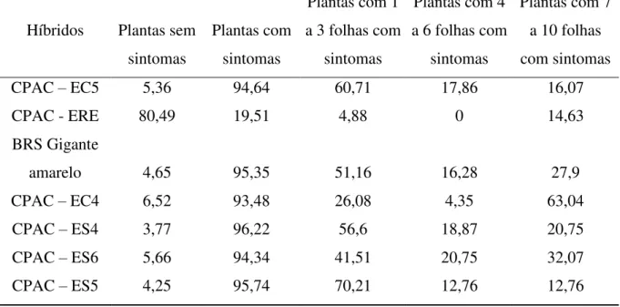 TABELA 3 - Proporção de plantas sem e com sintomas de bacteriose em folhas dos híbridos  de  maracujá  azedo  avaliados  em  condições  de  casa  de  vegetação