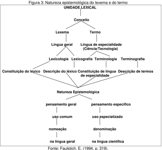 Figura 3: Natureza epistemológica do lexema e do termo     UNIDADE LEXICAL 