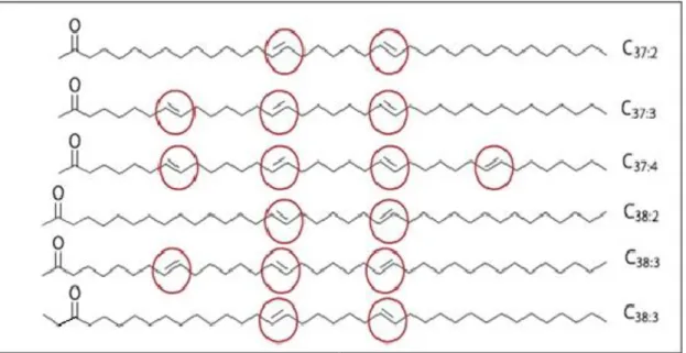 Figure 1. Structure of  methyl (Me) and ethyl (Et) long-chain  alkenones. The position of the double bounds are indicated by red circles