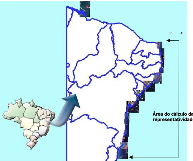 Figura 5 – Área com as cenas mapeadas. Destaque da área utilizada para o cálculo da  representatividade