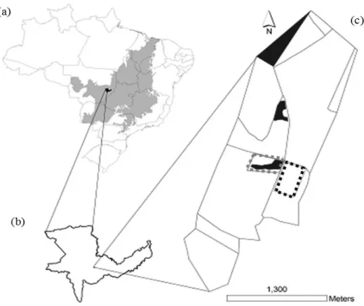 Figura 1. Localização do Parque Municipal do Bacaba (c): linhas cinza indicam os limites do  Parque bem como as trilhas que o entrecortam