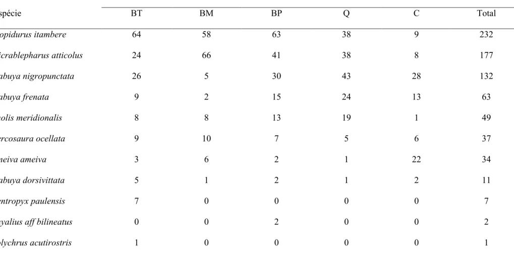 Tabela 2. Abundâncias (captura+recaptura) das espécies de lagartos da RECOR-DF por parcela (BM = bienal modal; BP = bienal precoce; BT =  bienal tardia; C = sem queima; Q = quadrienal modal) entre outubro de 2009 e setembro de 2010