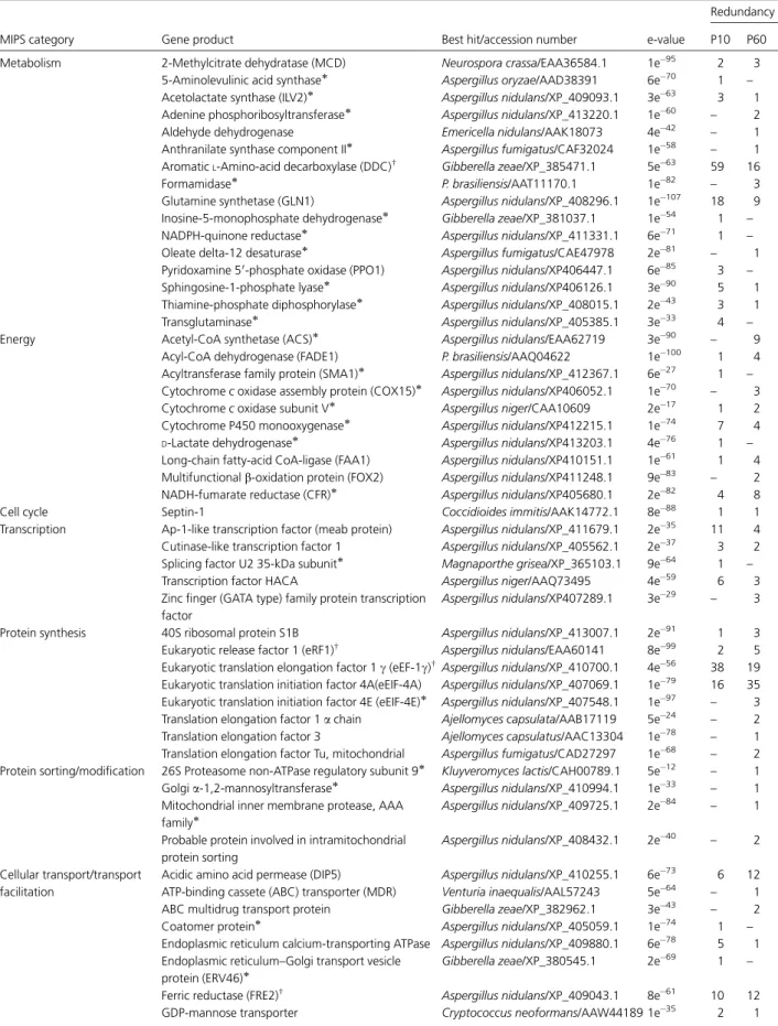 Table 1. Annotated ESTs with high abundance in yeast cells during incubation in human plasma vs