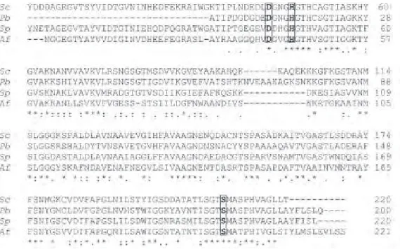 Figure 4 presents the alignment of the deduced amino acid sequence encoding this serine protease, family S08A of P