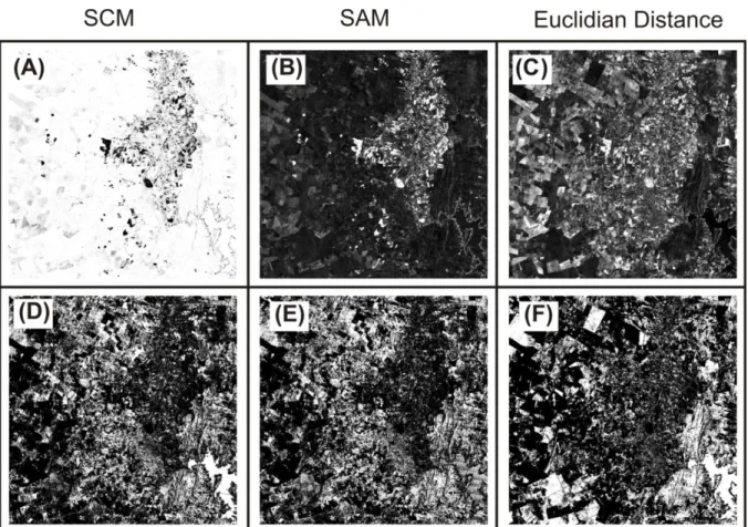 Figure 4 shows the spectral measure images in a gray-scale format and PIF images in a binary format