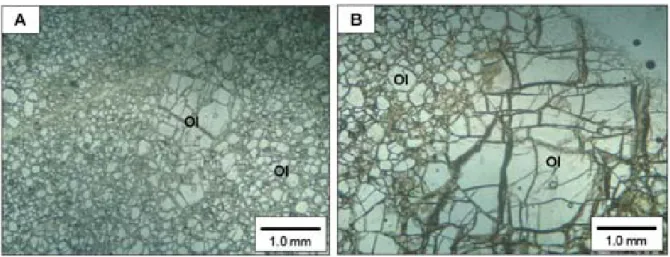 Figura 4.5. Fotomicrografias dos dunitos: amostras Can165 (A) e Can215 (B) - porfiroclasto de  olivina em matriz equigranular de olivina