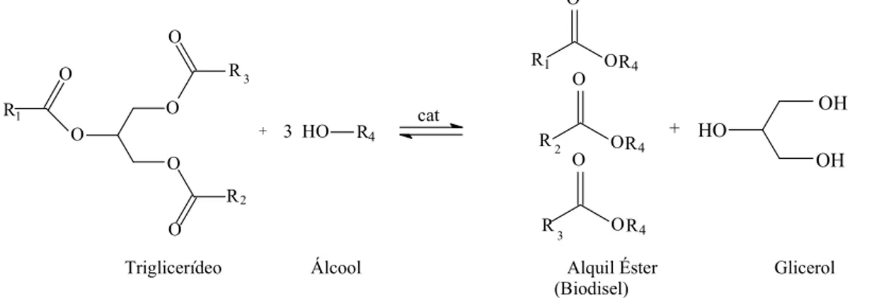 Figura 1. Reação de transesterificação. 