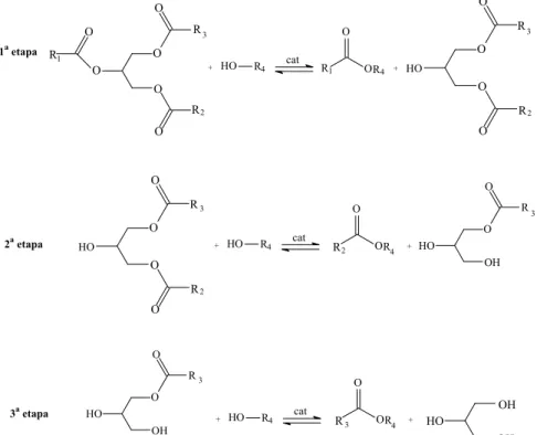 Figura 3. Etapas da reação de transesterificação. 