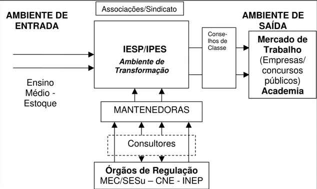 Figura 1 – Os elementos do campo organizacional do ensino superior no Brasil 