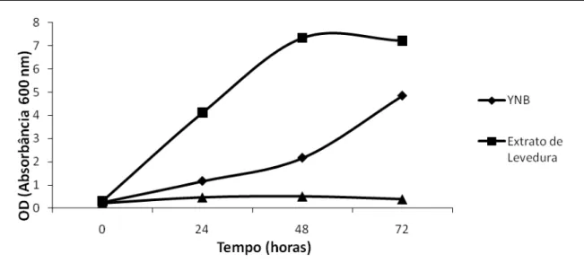Figura 7  –  Avaliação do efeito da fonte de nitrogênio na quantidade de proteína  total do sobrenadante do meio de cultura produzida pela levedura MFL-AMY1