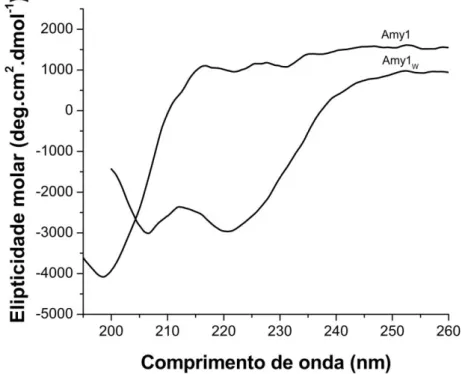 Figura 16  –  Espectros de dicroísmo circular distante do UV das  α -amilases  recombinante (Amy1) e selvagem (Amy1 w ) em pH 7,0 na temperatura de 25ºC