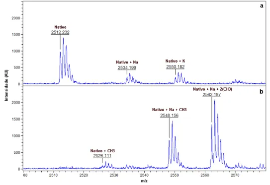 Figura 8 — Espectro do peptídeo G16OCP1 obtidos por MALDI-TOF MS antes e  após a derivatização por esterificação de Fischer