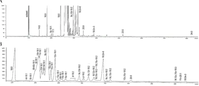 Figura 3: Cromatograma de margarina analisada em coluna capilar SP-2560 (Iso @ 180°C @ 1.0 mL/min (19 cm/s); He; 1:100) pelo método oficial da AOCS Ce 1h-05 (painel A) com região dos isômeros do 18:1, 18:2 e 18:3 ampliada (painel B) (AOCS, 2005).