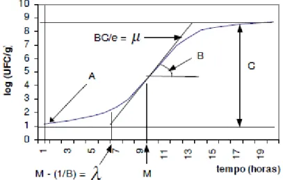 Figura  1.3  Parâmetros  associados  com  a  equação  modificada  de  Gompertz,  utilizado  no  modelo  PMP;  µ  =  velocidade  ou  taxa  de  crescimento,    =  fase  lag  (Buchanan, 1993) 