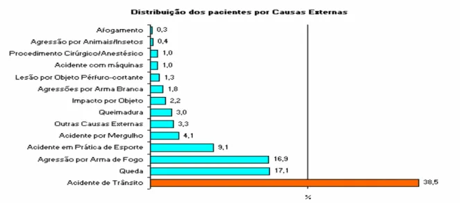 Figura 01 - distribuição dos pacientes por causas externas em internações  Fonte: rede Sarah, 2009