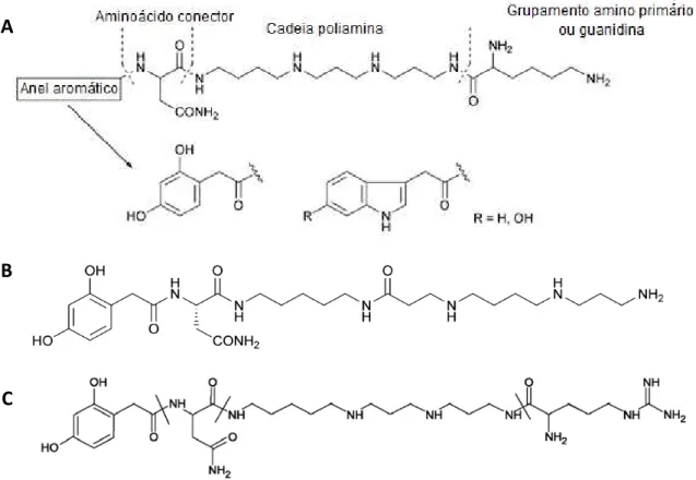 Figura  2. Estruturas de acilpoliaminas caracterizadas da peçonha de aranhas. (A) Estrutura  básica; (B) JSTX-3; e (C) argiopina ou Arg-636