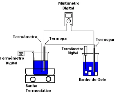 Figura 2 – Montagem experimental para calibração de medidores de temperatura. 