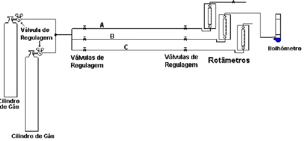 Figura 03 – Montagem experimental para calibração de rotâmetros para gases. 