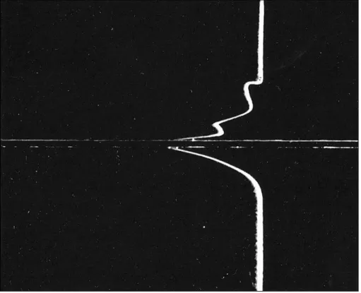 Fig. 1.13 The no-slip condition in water flow past a thin fixed plate.