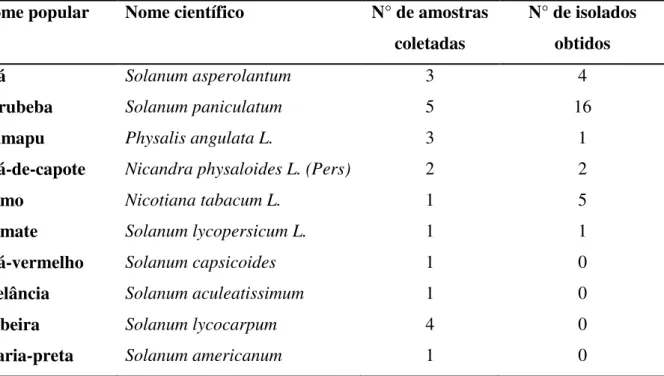 Tabela  3.  Nome popular, nome científico, número de amostras coletadas e número de  isolados obtidos das espécies vegetais de onde foram obtidos os isolados de Pseudomonas  fluorescentes