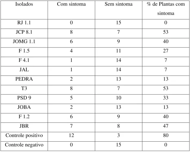 Tabela 6. Efeitos dos isolados de Pseudomonas fluorescentes no controle da Murcha  Bacteriana causada por R
