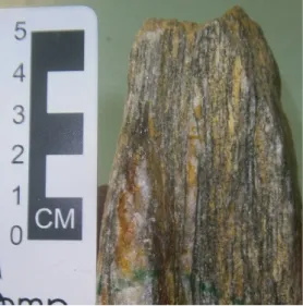 Figura 7 - Amostra macro 411 com muscovita  -clorita-quartzo xisto, Grupo Araxá.