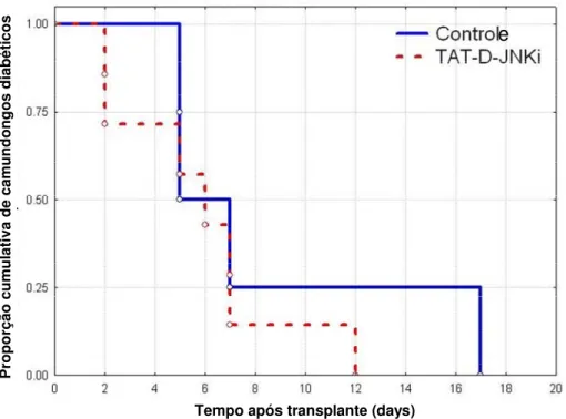 Figura 3.4 Transplante de massa de illhotas marginal á ideal (100IEQ) debaixo do rim de  camundongos nude diabéticos