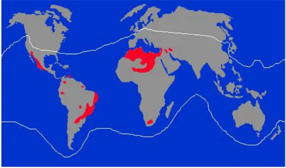 Figura 1. Distribuição dos escorpiões ao redor do mundo. Os escorpiões são encontrados  em regiões tropicais e subtropicais (entre as linhas brancas)