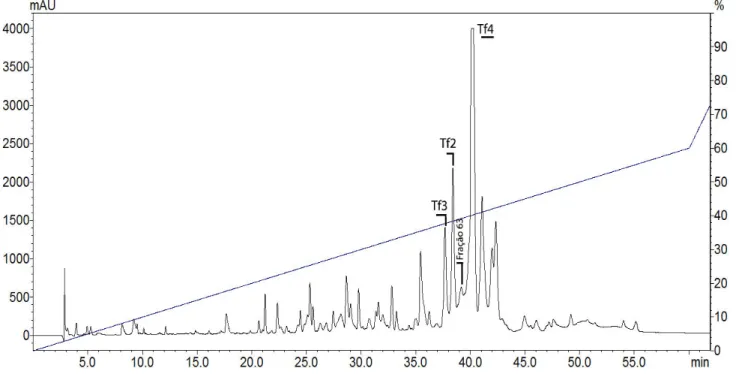Figura 18. Perfil cromatográfico de 1mg de peçonha de  Tityus fasciolatus.  Cromatografia  de 1mg de peçonha de T