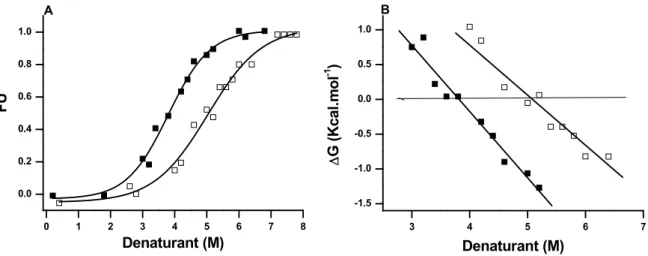 FIGURE 2 Effect of GuHCl ( ■ ) and Urea ( □ ) on POPTb at 25ºC. (A)  Equilibrium  denaturation followed by CD