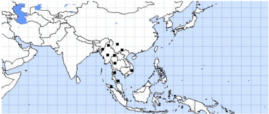 Figura 02. Distribuição geográfica natural da espécie Pinus kesiya Royle ex Gordon. 