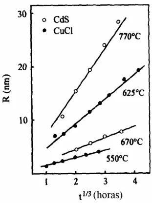 Figura 2.4: Raio dos pontos quânticos de CdS e CuCl, crescidos em matriz vítrea, em  função da raiz cúbica do tempo de tratamento térmico