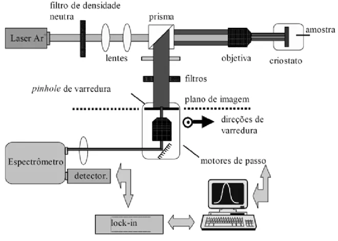 Figura 3.1: Esquema experimental para obtenção do espectro de MSST. 