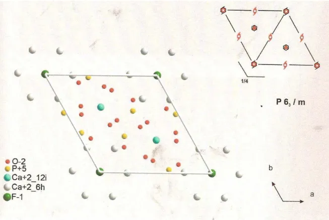 Figura III.1- Estrutura básica da apatita, grupo espacial de simetria P6 3 /m (Náray-Szabó,  1930; Mehmel, 1930)