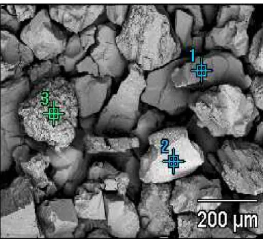 Figura V.1a- Imagem (BSE) da amostra de minério foscorítico, destacando os pontos 1, 2 e 3