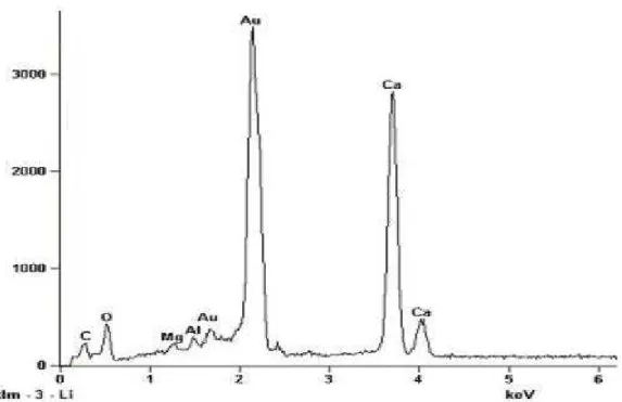 Figura V.1c- Espectro de EDS do ponto 2 mostrando o mineral de ganga calcita. 