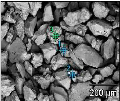 Figura V.2a- Imagem (BSE) da amostra de minério foscorítico, destacando os pontos 1, 2 e 3