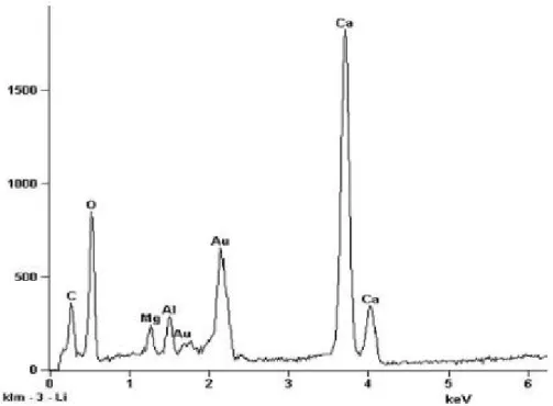 Figura V.2c- Espectro de EDS do ponto 2 mostrando o mineral de ganga calcita. 