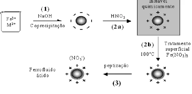 Figura 1.3: Diagrama esquem´ atico de elabora¸c˜ao de ferrofluido ´ acido do tipo EDL-MF.