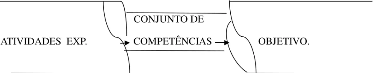 Fig. 7.  Relação entre propostas de atividades experimentais, competências e objetivo