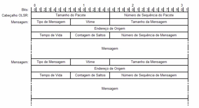 Figura 2.1 – Formato do Pacote OLSR 