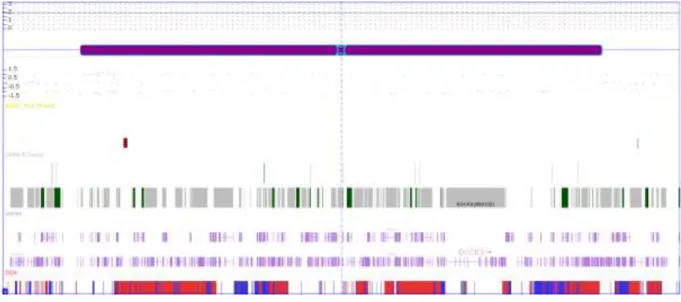 Figura 4. Perda de heterozigose observada em 3p21.31 da paciente DA4. Imagem gerada pelo  software ChAS (Affymetrix), onde a barra roxa representa a perda de heterozigose e as barras em  cinza e em verde representam os genes presentes nessa alteração