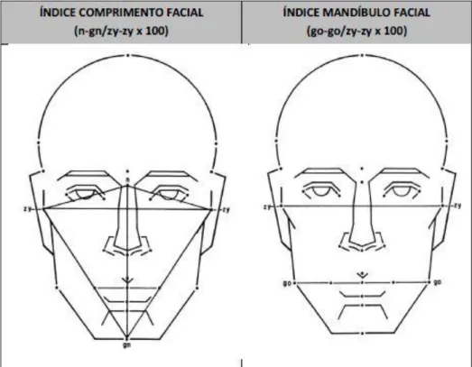 Figura 2.3 – Amostra de técnica utilizada para determinar características da face   (GEORGE, 2007)