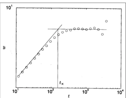 Figura 2.3: Crescimento da largura da interface para o modelo de deposição balística mostrando dois regimes característicos separados pelo tempo de cruzamento t × .