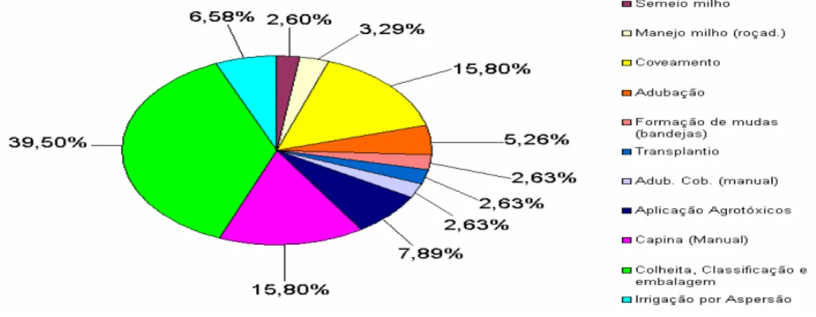 Figura 3. Participação de cada item de despesa no total do custo de operações na produção de  brócolos de inflorescência única em sistema Plantio Direto