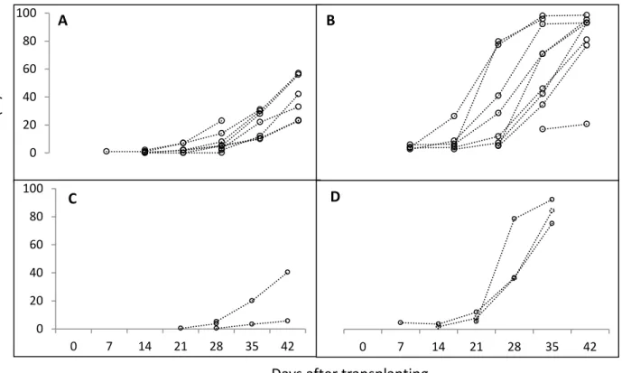 Figure 3. Begomovirus disease progression curves from all plots evaluated weekly in tomato  fields located at the edge in the Luziânia (A) and PAD-DF (B) regions and those located at  the center of the pivot in Luziânia (C) and PAD-DF (D)