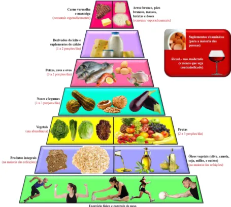 FIGURA 6 - Pirâmide de alimentos adaptada às características da população desportiva (Adaptado e  traduzido de GONZÁLEZ-GROSS et al., 2001) 