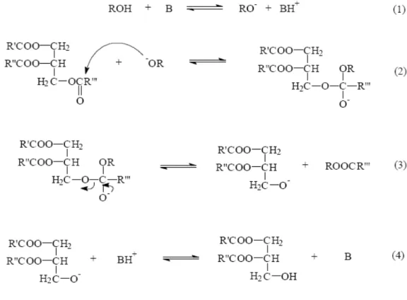 Figura 2. Mecanismo de transesterificação catalisada por base. 19 