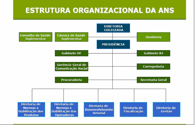Figura 2 - Estrutura organizacional da ANS 